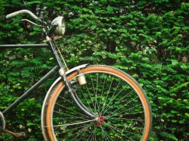 Miks on odavad jalgrattad aina rohkem moodi läinud?